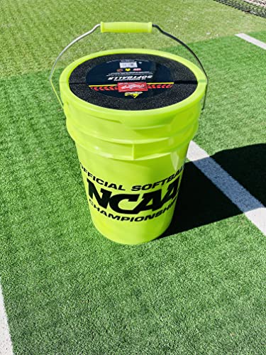 Rawlings 2023 Practice Softballs Bucket | 18 12" Synthetic Cover Youth