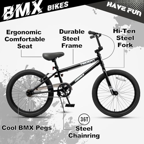 Cubsala Black 20-Inch BMX Race Bike for Beginners & Pros with 2 Pegs