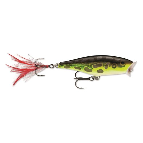 Rapala Skitter Pop Topwater Popper, Surface Hard Bait, Bass Fishing Lure, Splash and Pop Action, 2-3/4", Shad