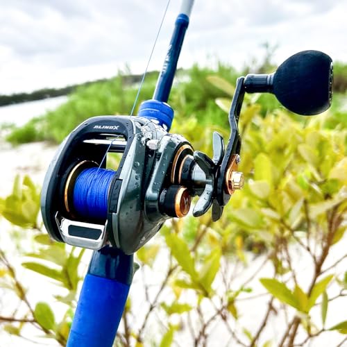 Piscifun Alinox 300 Baitcasting Reel - Right Hand, Black, 33LB Drag