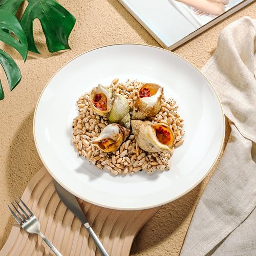 White Porcelain Dinner Plates Set of 12 - 10.5 inch Gold Rimmed, Classic Style