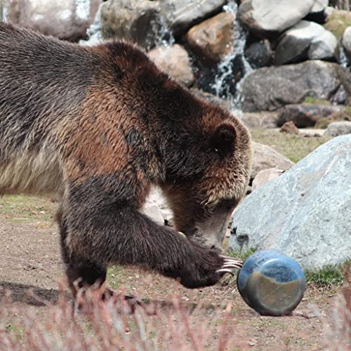 BearVault BV425 Sprint S Bear-Resistant Food Container for Camping & Backpacking
