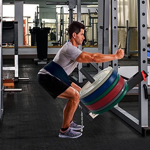 14-Inch Post Length Belt Squat Attachment for Power Racks 2-Inch Weight Plate Hole