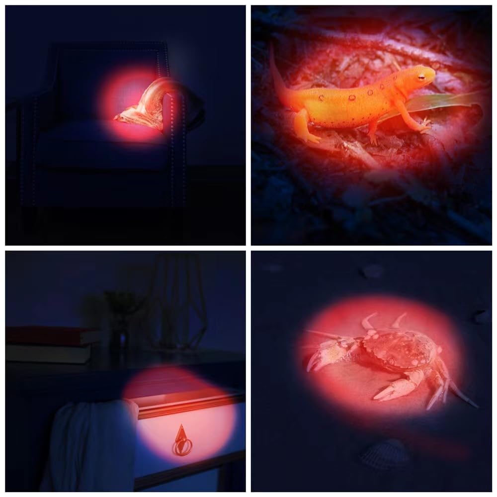 RaySoar 12 Pack Ultra Bright Red LED Keychain Flashlight, Red Keychain Flashlight for Night Observation