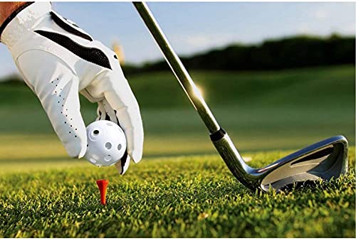 Wiffle Practice Golf Balls - 6 Pack for Indoor and Outdoor Training