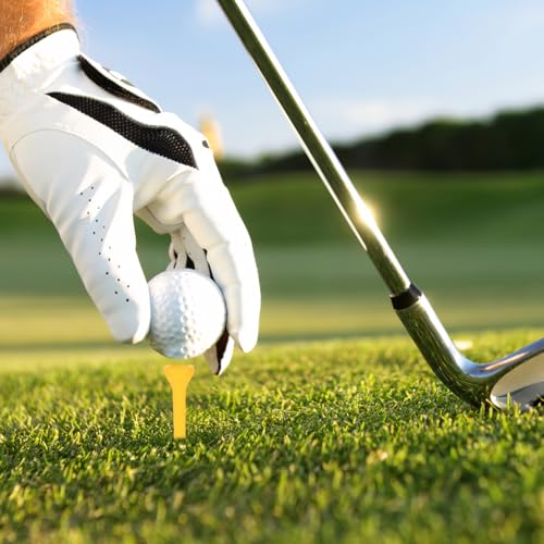Plastic Golf Tees 3.5mm - 100 Pack in Mixed Colors for Golf Practice