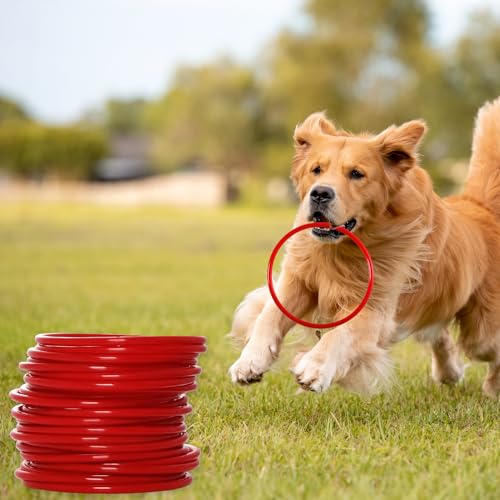 Plastic Ring Toss Game 24 Pieces - 4.7 Inch Outdoor Carnival Rings for Speed & Agility Practice
