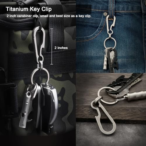 Small Titanium Carabiner Keychain Clip - Silver, 2 Inch Heavy Duty Keyring
