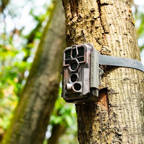 GardePro E5S 2-Pack Trail Camera - 64MP Photos & 1296P HD Video, Waterproof, Fast Trigger