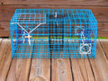 Medium Florida Blue Crab Trap - OceanBuilt, Handcrafted Crabbing Pot with Dual Funnels & Escape Rings - FL-Compliant