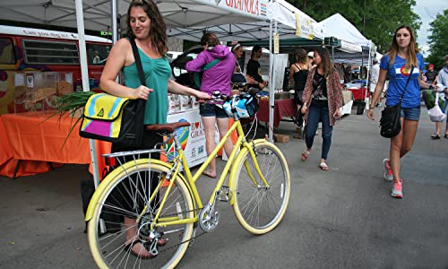 Green Guru Large Multi-Colored Bicycle Pannier Made in USA, Upcycled Vegan Materials