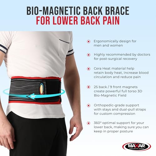 MAXAR Bio-Magnetic Back Brace LG (Naval 36-40in) - Lumbar Support for Lower Back Pain