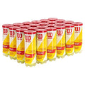 Wilson Championship Extra Duty Tennis Ball Case - Professional Recreation Equipment