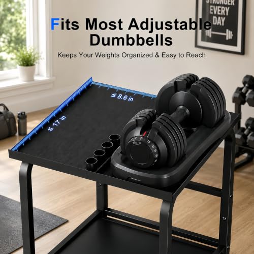 Beolisave Adjustable Dumbbell Rack with Shelf, 500 lb Capacity, Space-Saving Home Gym Organizer