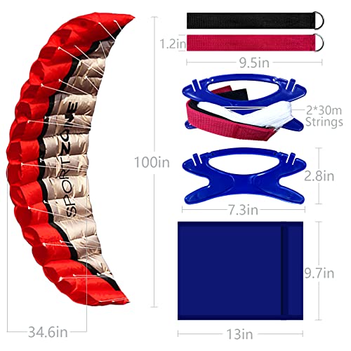 Dual Line Stunt Kite for Adults 2.5m Flying Sport Kite with Red Pattern