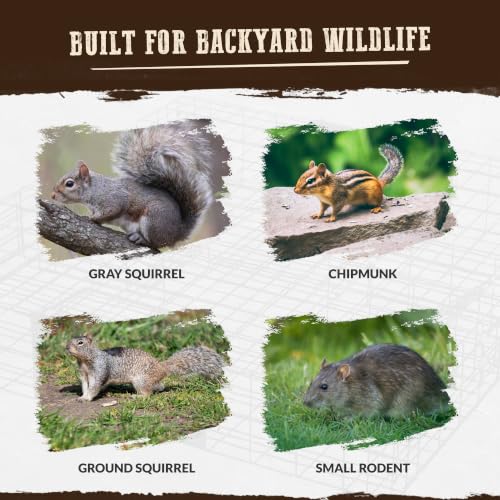 Humane Multi-Catch Squirrel Trap - 1 Pack for Wildlife Control