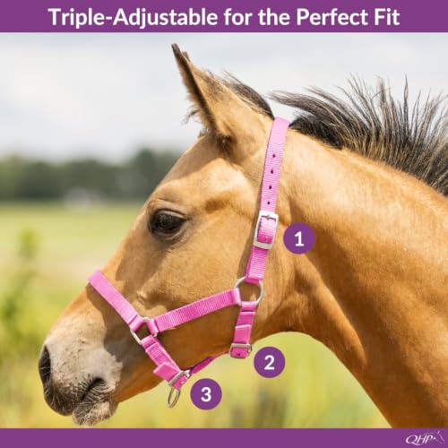Pony Pink Nylon Foal Halter Adjustable Horse Tack - Grow With Your Horse