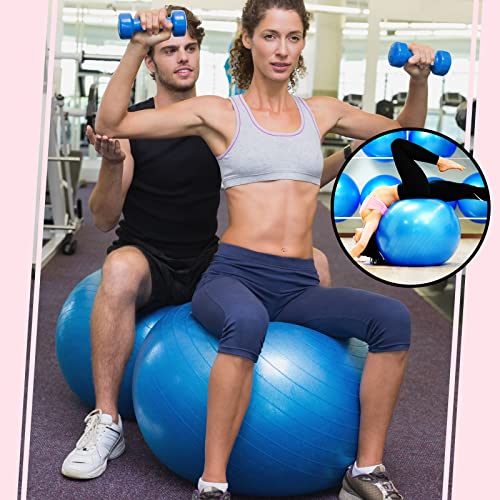 Multicolored 10-Piece Pilates Exercise Balls 65cm with Pump & Accessories