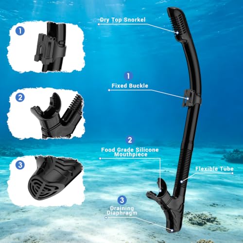 Adult Snorkeling Gear Set with Dry-Top Snorkel & Mask - Black