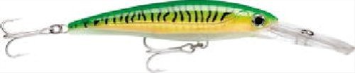 Rapala X-Rap Magnum Saltwater Trolling Lure, Offshore Hard Bait, Tuna Wahoo Mahi Fishing Lure, High Speed, 5-1/2", Gold Green Mackerel