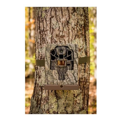 Trail Camera with Color Screen, 46MP Photos & 1440p Video, Night Illumination