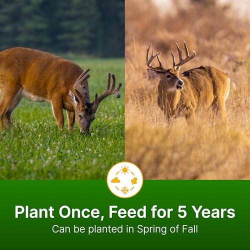 Hit List Seed 1 Acre Perennial Deer Food Plot Mix with Alfalfa & Clover