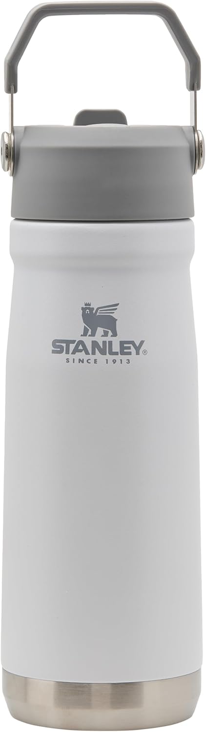 STANLEY IceFlow Water Bottle - 22 oz Insulated Stainless Steel | Built-In Straw | Lightweight & Leak Resistant | BPA-Free | Polar