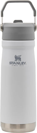 STANLEY IceFlow Water Bottle - 22 oz Insulated Stainless Steel | Built-In Straw | Lightweight & Leak Resistant | BPA-Free | Polar