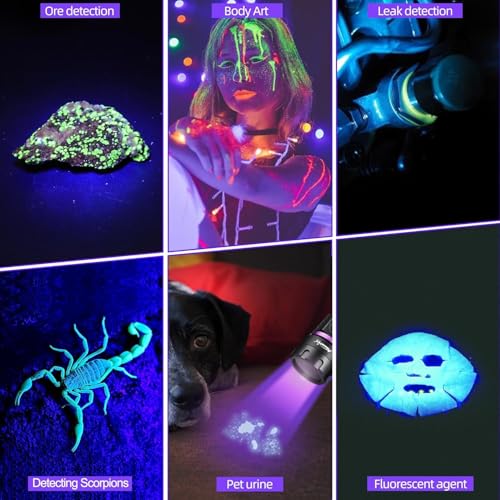 Mini UV Flashlight 365nm Black Light Rechargeable for Pet Urine Detection and Mineral Identification