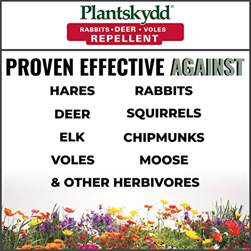 Plantskydd Animal Repellent Powder for Deer Rabbits Voles 2.2lb Organic Formula