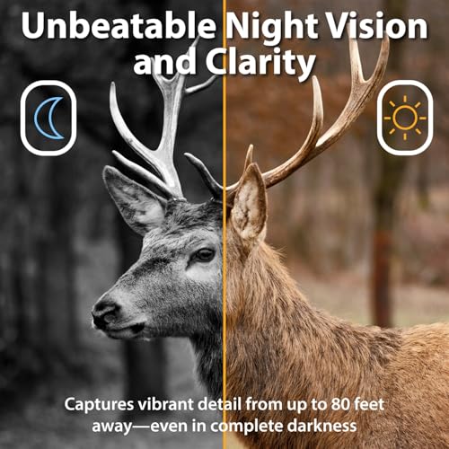 Trail Camera Bundle with 40MP Resolution, 2 Cameras, 32GB SD Cards & Accessories - Black