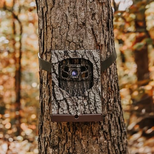 Trail Camera with Night Vision 40MP HDR Stealth Security & Wildlife Monitoring