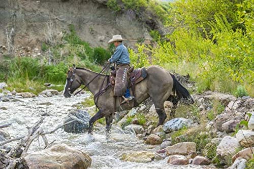 30-Inch Alpaca Straight Cinch for Horse Tack - Roper Variation