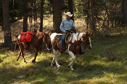 TrailMax Heavy-Duty Horse Saddle Panniers 24x17x12 Brown – Over-the-Saddle Pack Bags