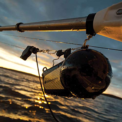 10 Pound Cannon Downrigger Weight for Boat Trolling - Durable Vinyl Coating