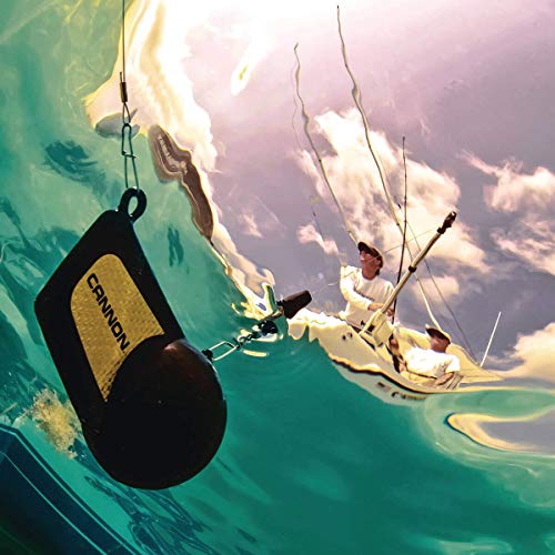 10 Pound Cannon Downrigger Weight for Boat Trolling - Durable Vinyl Coating