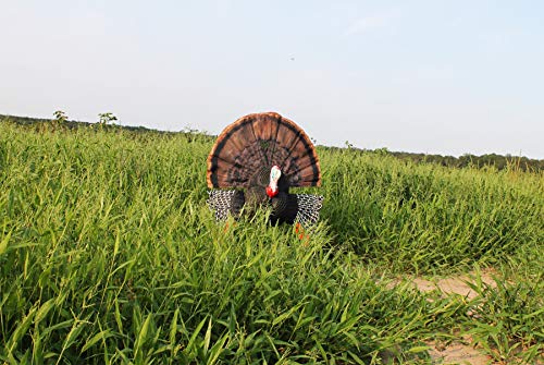 MOJO Outdoors Turkey Decoys Pack of 1 11x2x4 Inch Realistic Hunting Decoy