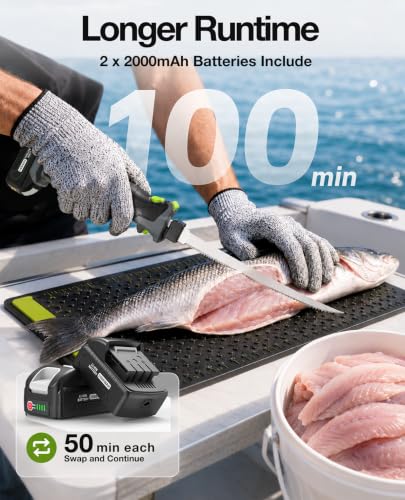 TaskStar Cordless Electric Fish Fillet Knife Kit with 4 Stainless Steel Blades