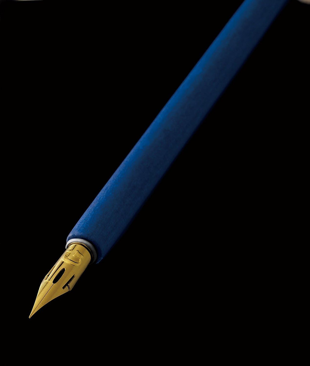 Zebra Professional Comic Pen Nib - G Model Titanium - Pack of 10 for Artists & Illustrators