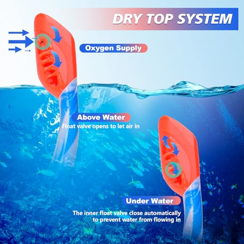 Kids Snorkel Mask and Dry Top Snorkel Set with Fins - Blue + Blue, One Size