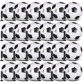 Soccer Balls Set 24 Pack Size 5 with Pumps - Black and White, 8.7 Inch