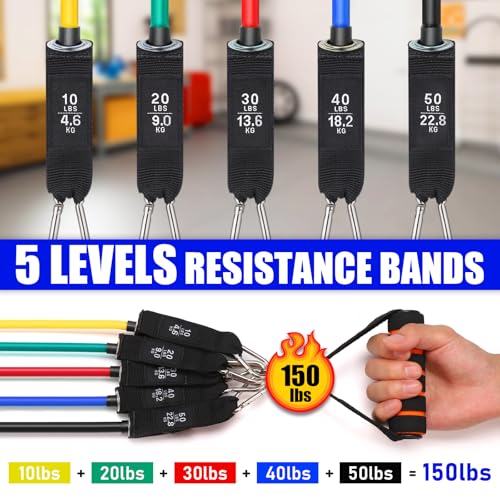 Resistance Band Wall Mount System with 5 Resistance Bands & Accessories - Space Saving Home Gym