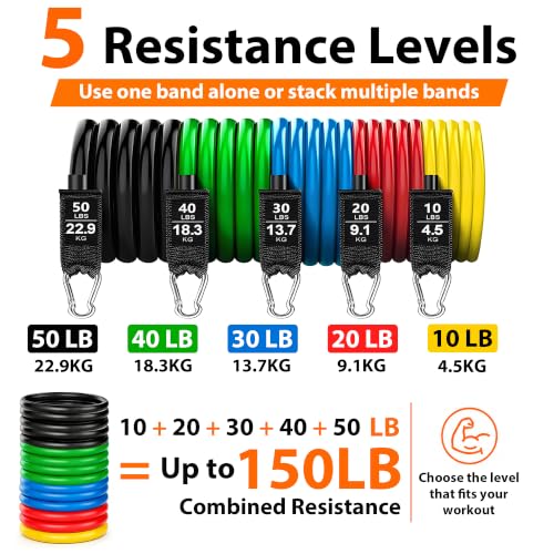 Full Body Resistance Bands Set with Handles, Door Anchor & Accessories for Home Workout