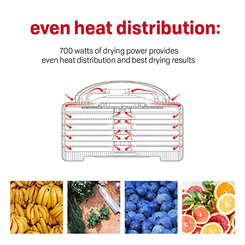 NESCO FD-80A Square Food Dehydrator with 4 Trays for Snacks, Jerky, Fruit & Vegetables — Electric Food Dehydrator, Expandable Up to 8 Trays, Even Heat Drying, White
