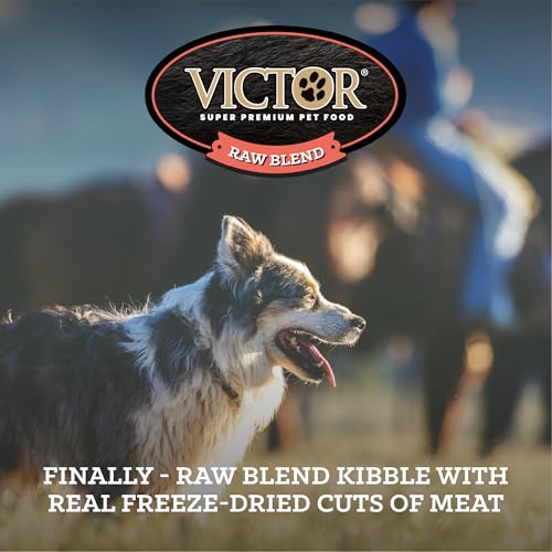 Victor Raw Salmon Dog Food Blend - Freeze-Dried & Kibble, 20 lb - Salmon / 20 Pound Pack of 1