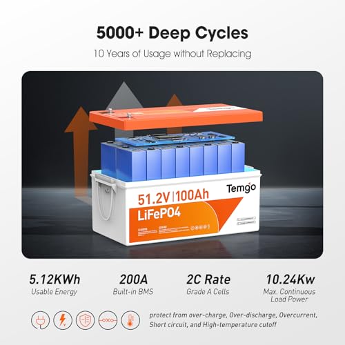 TEMGO 48V 100Ah LiFePO4 Golf Cart Battery with Voltage Converter - Model 48V100AH