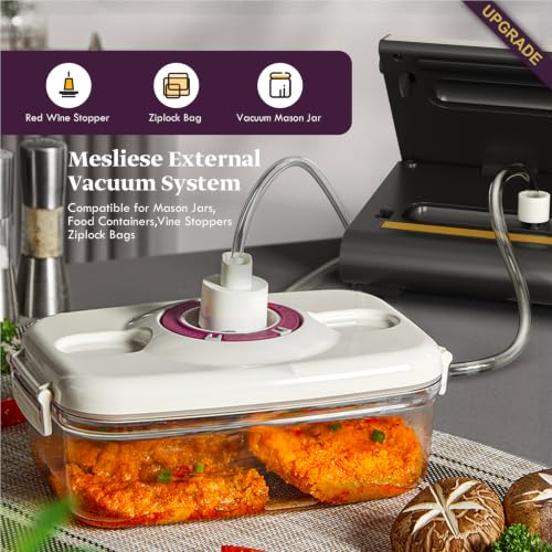 Mesliese Vacuum Sealer Machine 90kPa with 2 Rolls & 5 Bags, Dry & Moist Modes