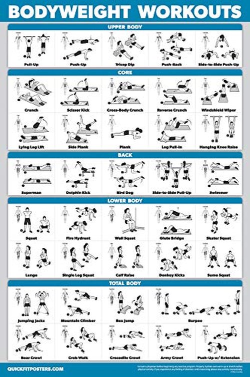 Palace Learning 4 Pack - Dumbbell + Bodyweight + Kettlebell Workouts - Sliding Bench - Set of 4 Laminated Charts (18'' x 24'')