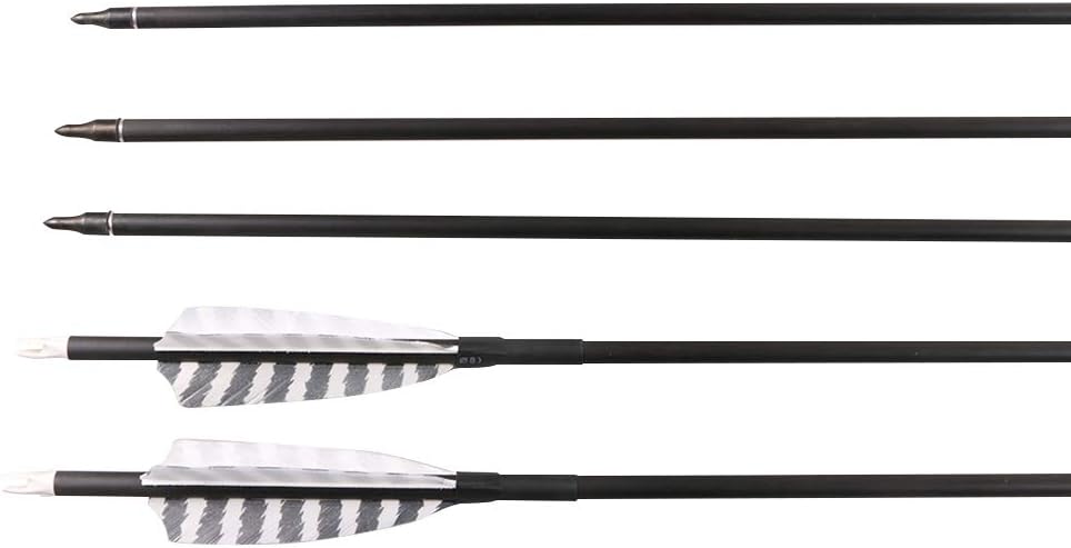 Skiennix 32-Inch Carbon Archery Arrows - Spine 400 with Removable Tips & 4-Inch Turkey Feathers | 6 Pack for Hunting & Target Practice