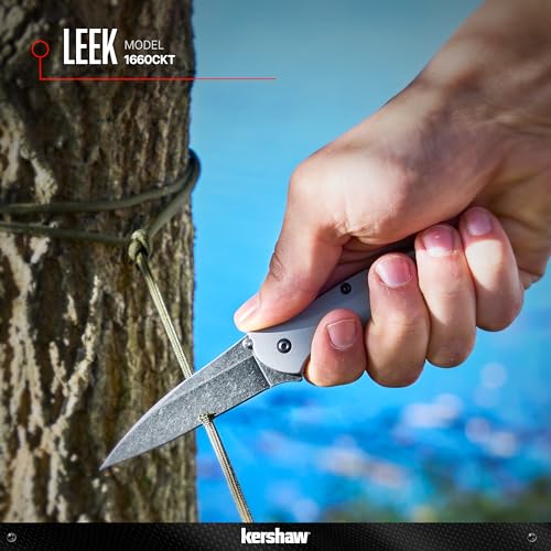 Kershaw Leek Silver Pocket Knife 3-Inch Drop Point Blade, Assisted Open